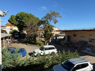 Vista
