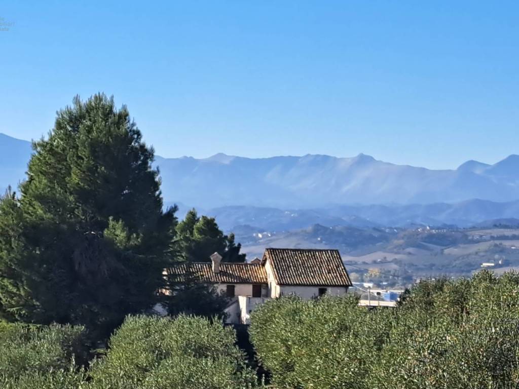 Vista