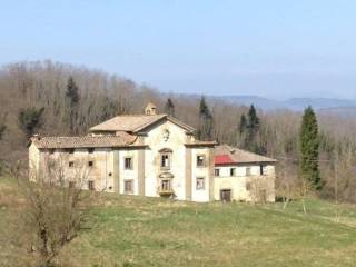 Vista