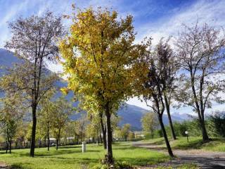 Zona