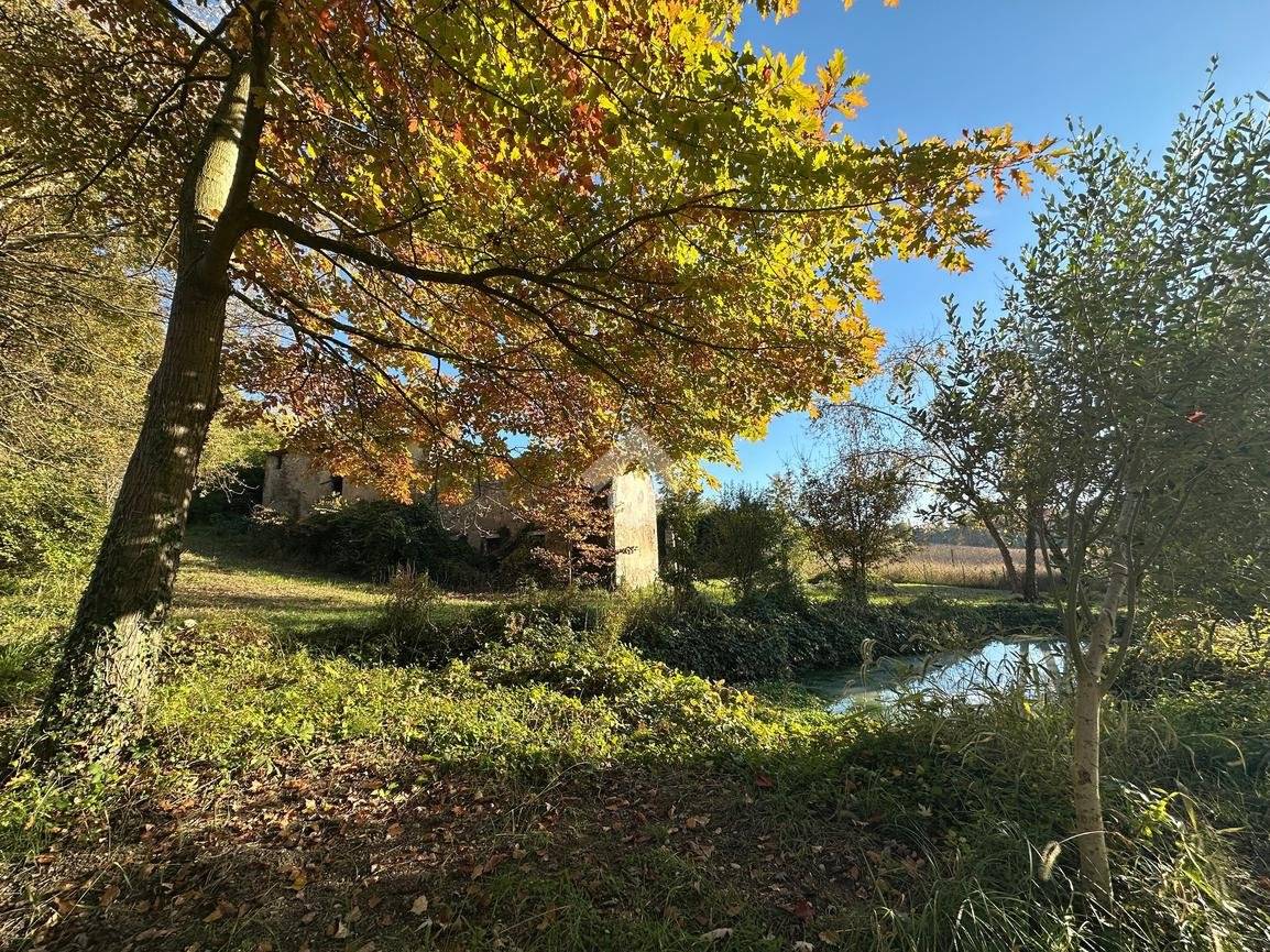 Rustico - Casale in vendita a Sona