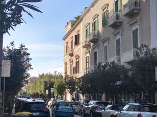 Zona
