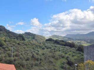Vista