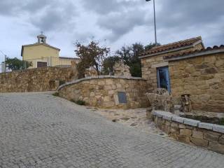 Zona