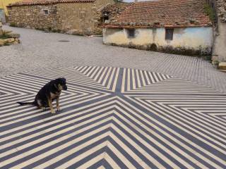 Zona