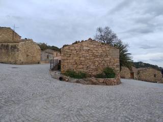 Zona