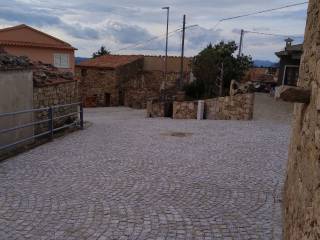 Zona