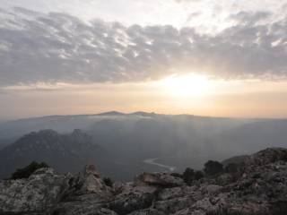Vista