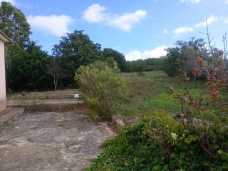 Terreno