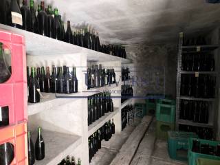 Cantina