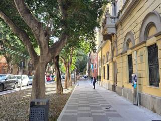 Zona
