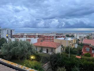 Vista