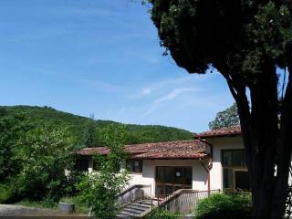 Vista