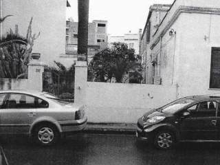 Zona