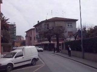 Zona