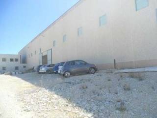 Zona