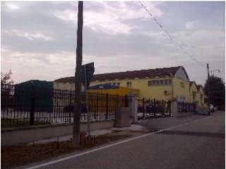 Zona