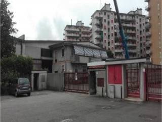 Zona