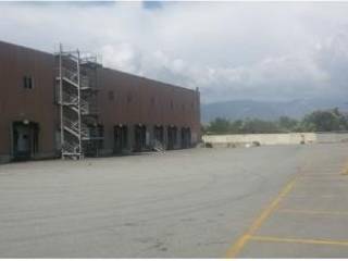 Zona