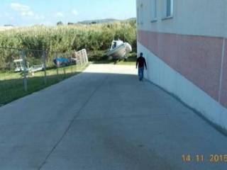 Zona
