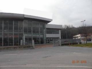 Zona