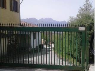Zona