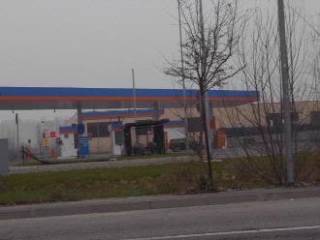 Zona