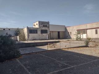 Zona