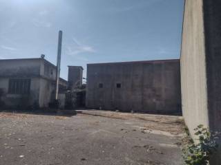 Zona