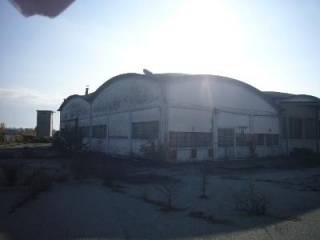 Zona