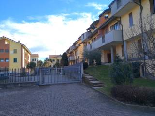 Zona
