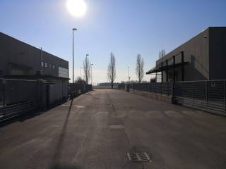 Zona