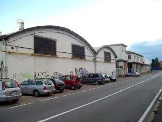 Zona