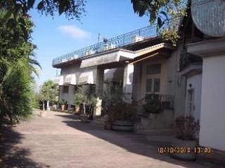 Zona