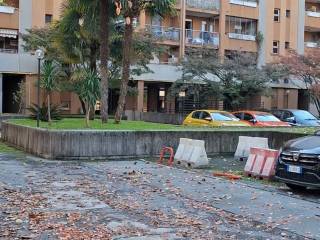 Zona