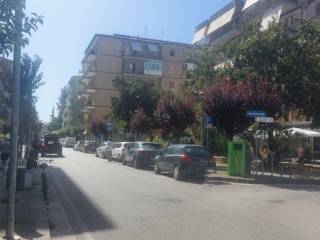 Zona