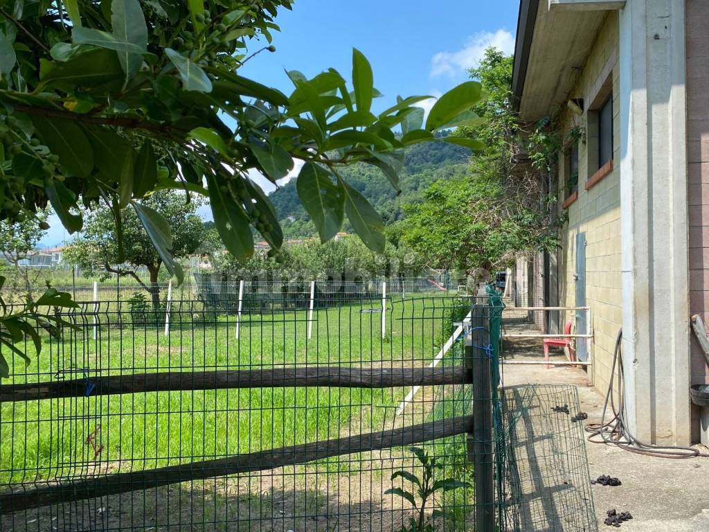 Giardino