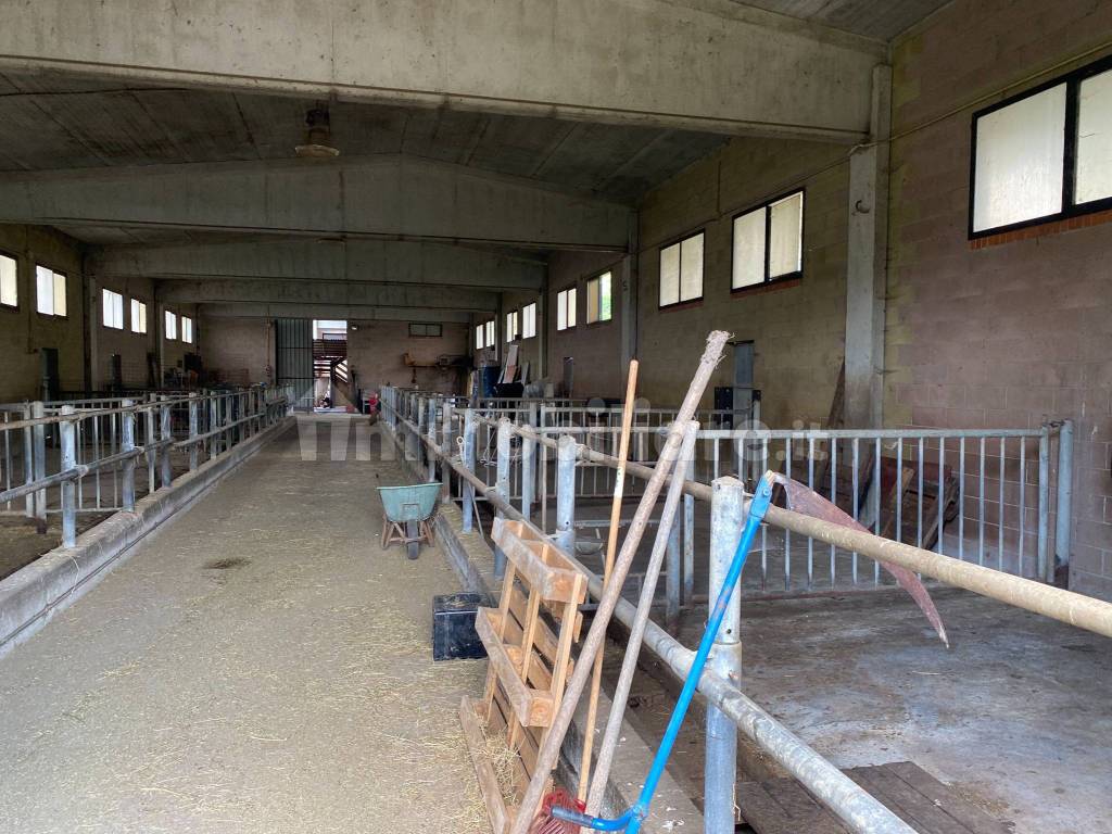 Magazzino