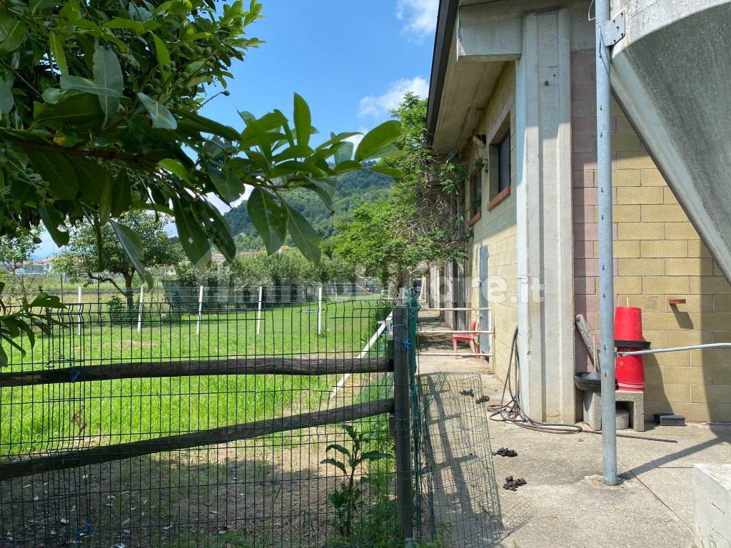 Giardino