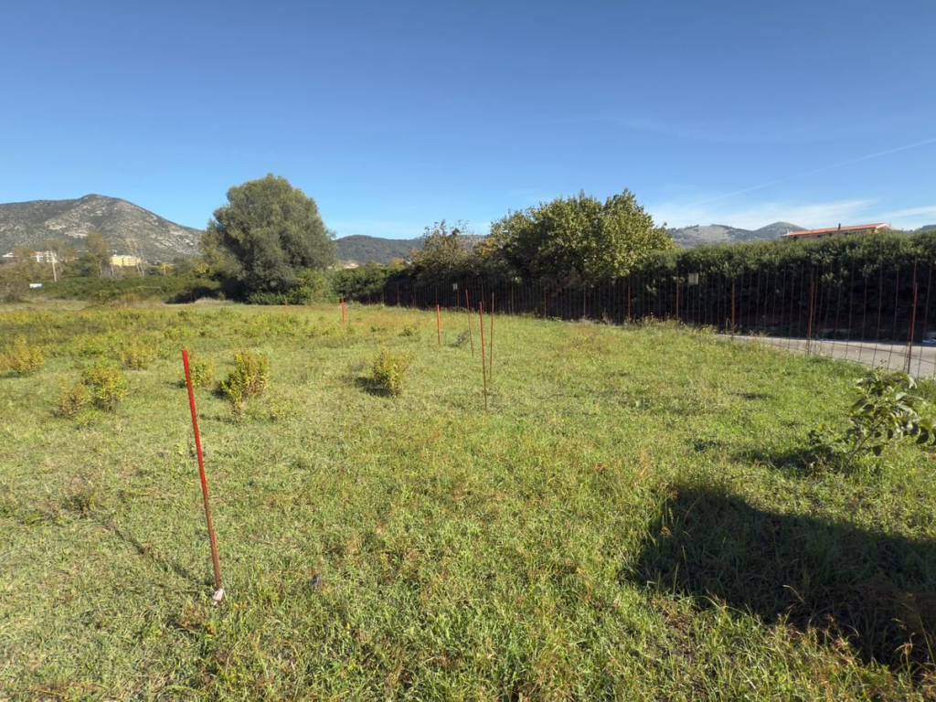 Terreno