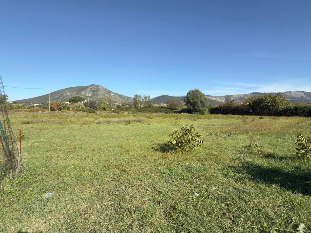 Terreno