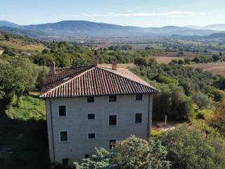 Vista