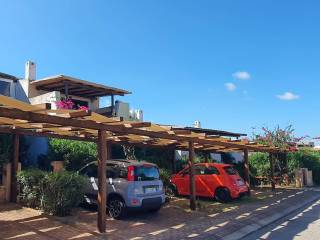 Zona