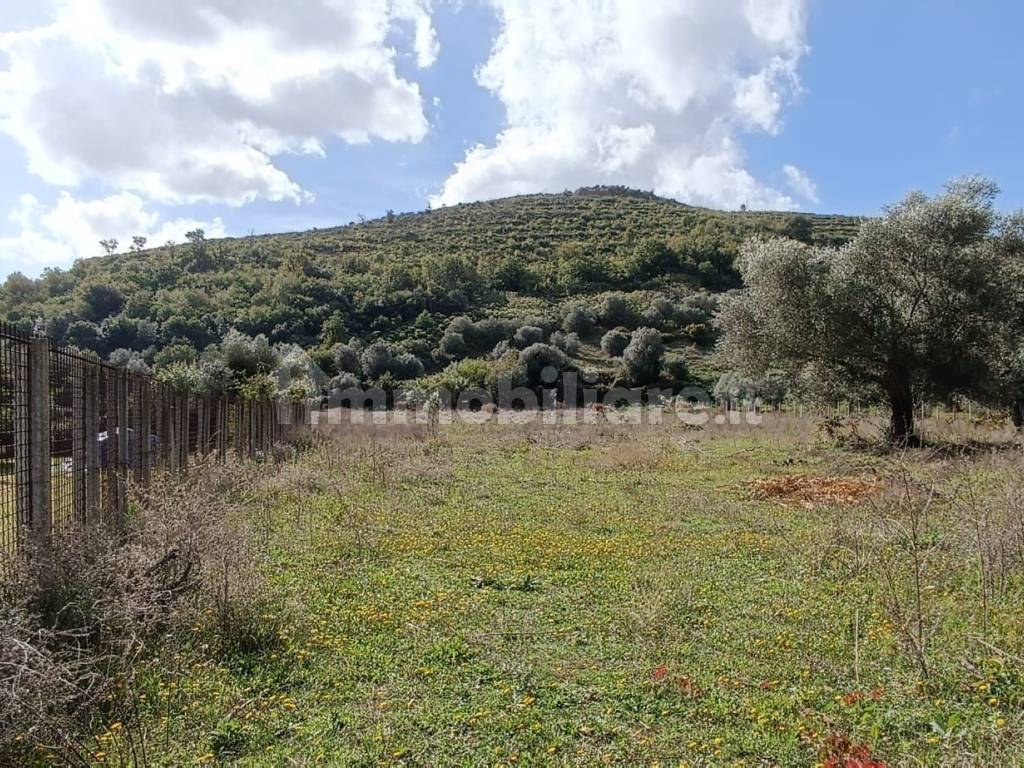 Terreno