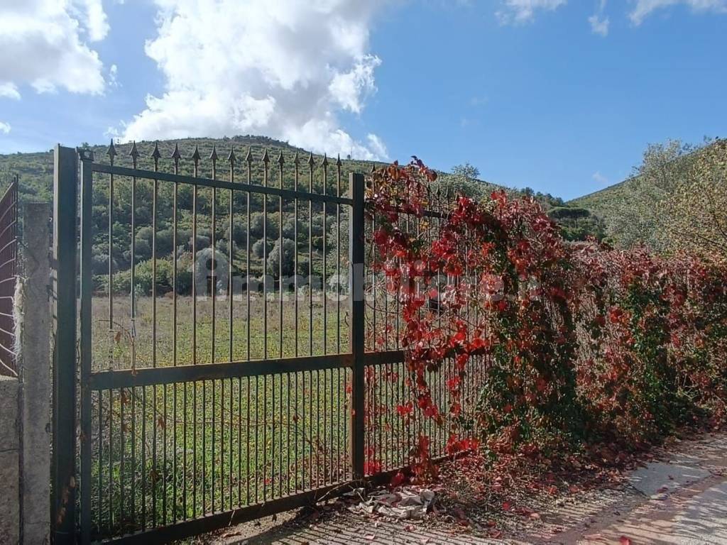 Terreno