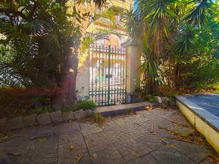 Ingresso