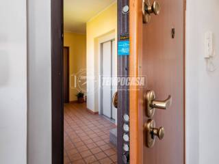 Ingresso