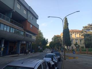 Zona