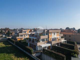 Vista
