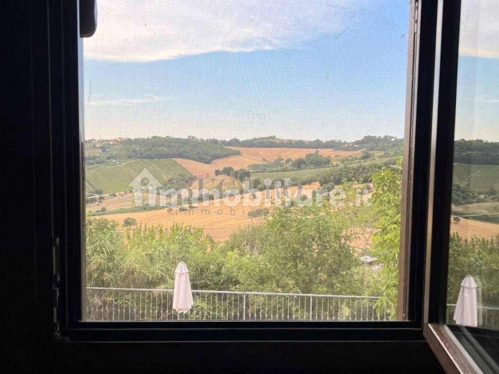 Vista